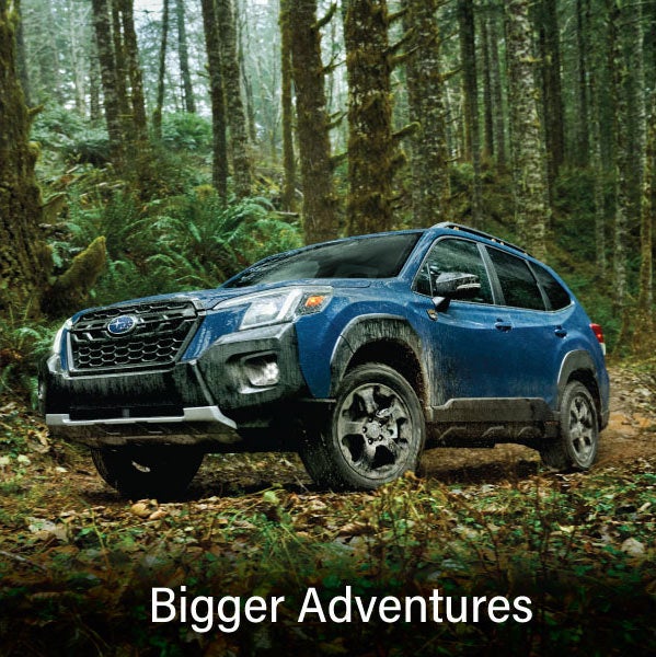 A blue Subaru outback wilderness with the words “Bigger Adventures“. | Randy Marion Subaru in Mooresville NC